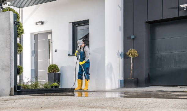 Pre-Holiday Cleaning in Beltsville, MD